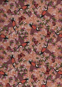 Spinebill - Mustard