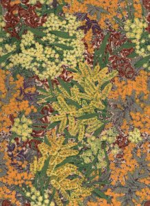 Wattle - Natural
